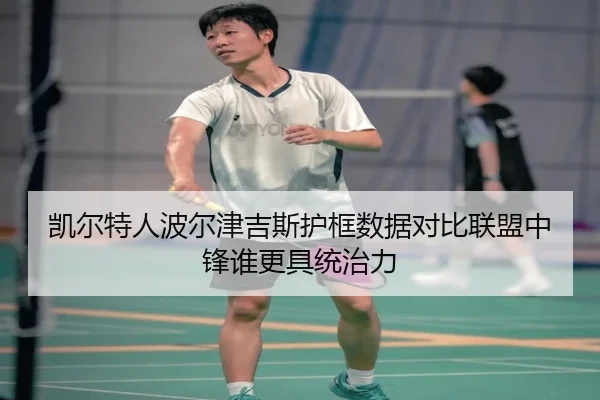 凯尔特人波尔津吉斯护框数据对比联盟中锋谁更具统治力