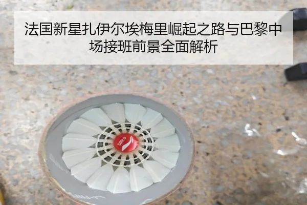 法国新星扎伊尔埃梅里崛起之路与巴黎中场接班前景全面解析